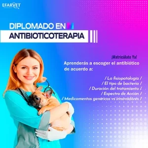 ANTI-Web-Home-3-50-porciento