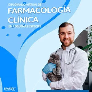 FCP-Web-Home7-50-Porciento (1)