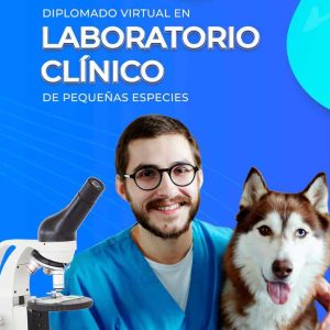 LABCP-Web-Home2-compressed